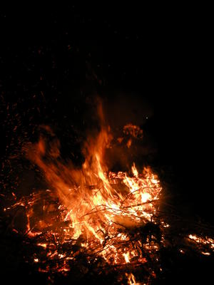 Tannenbaumfeuer